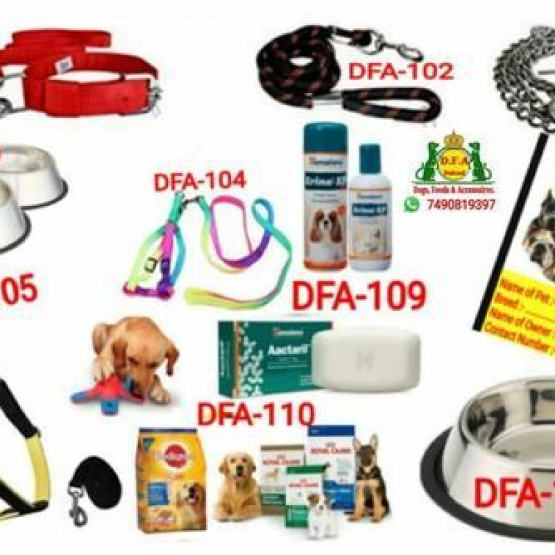 Dog boutique